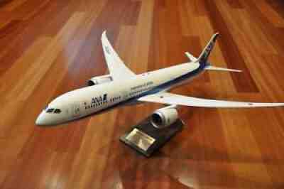 PACMIN / PAC MIN / PACIFIC MINIATURES ANA 787-9 1/100 SCALE - AMAZING!