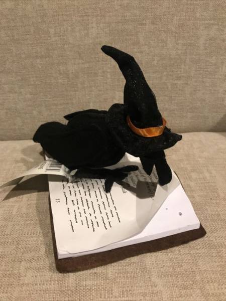 Annalee Dolls 6” Reading Raven Halloween Raven Wearing Black Witches Hat W/Tag