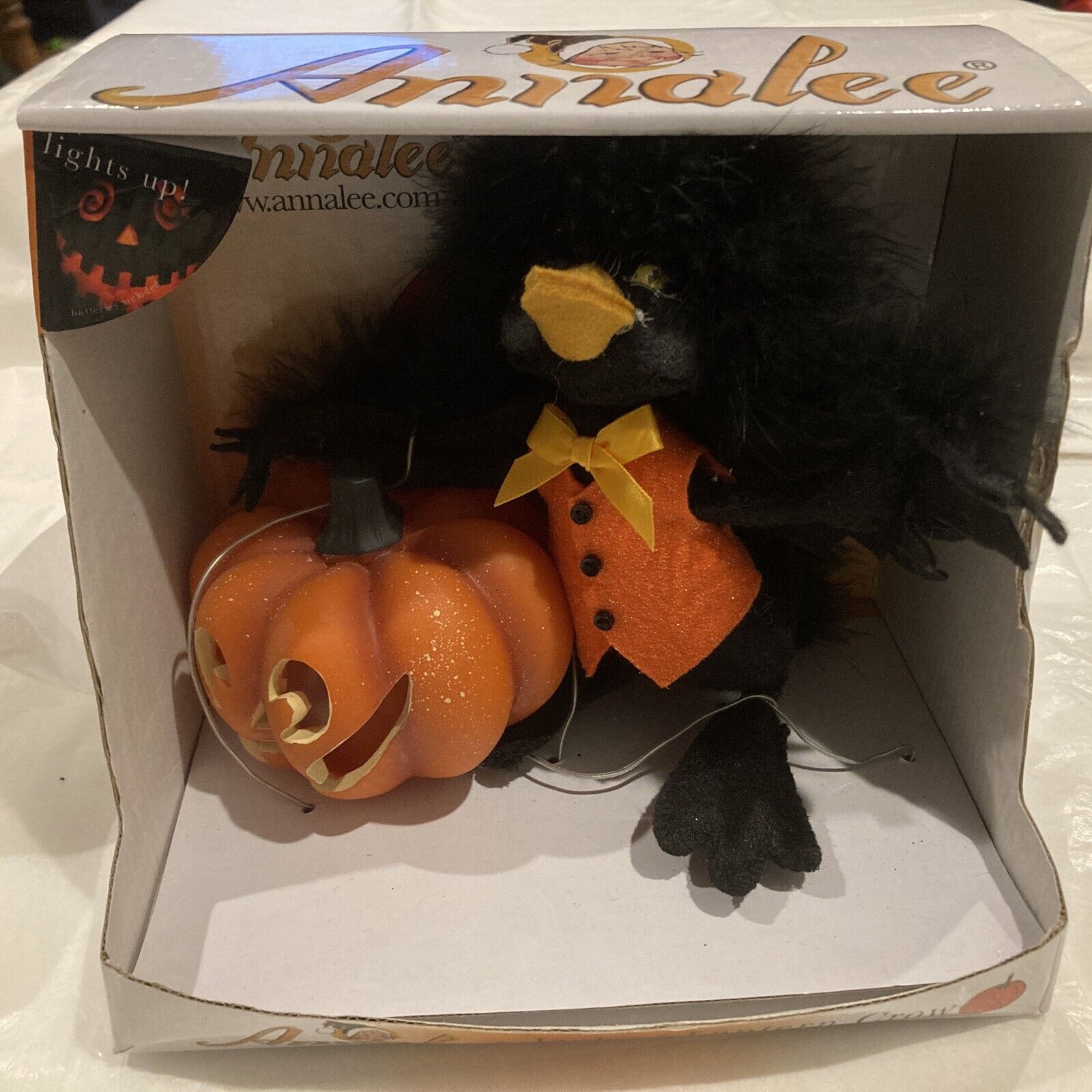 Annalee 2009 Jack O Lantern Crow Pumpkin 8" Halloween Doll HTF RARE 301109