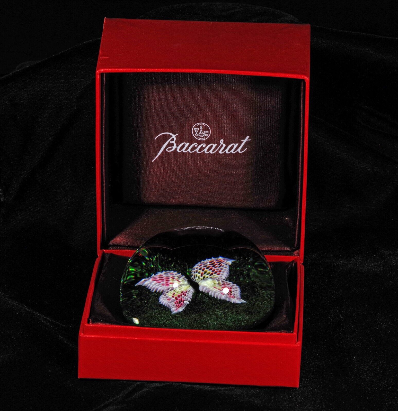 glass paperweight Baccarat butterfly 1993 LE of 150 perfect large signed/dated