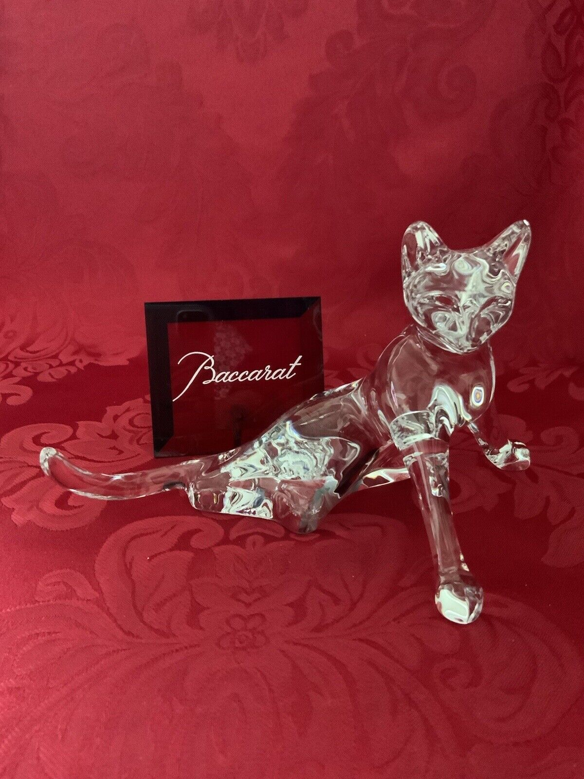 FLAWLESS Art Glass BACCARAT France SITTING FRONT PAWS OUT Crystal CAT Figurine
