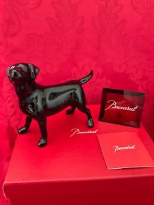 NIB FLAWLESS Black BACCARAT France Glass 7” Crystal CHIEN LABRADOR DOG Figurine