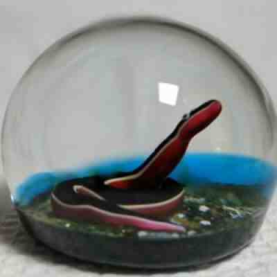 Baccarat, Limited Edition, 1971, Snake on Rocks, Crystal Paperweight
