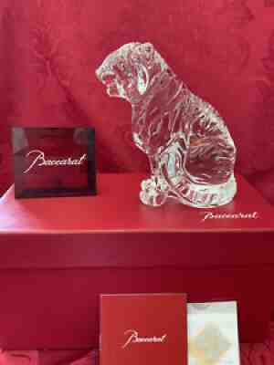 NIB FLAWLESS Glass BACCARAT France Crystal HUGE 6â? BENGAL TIGER LION Figurine