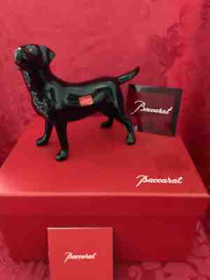 NIB NEW FLAWLESS Exquisite BACCARAT France Crystal CHIEN LABRADOR DOG Figurine