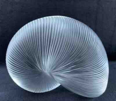 Large BACCARAT Crystal Clear 6" NAUTILUS SEA SHELL SNAIL Figurine Paperweight