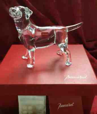 NIB NEW FLAWLESS Exquisite BACCARAT France Crystal CHIEN LABRADOR DOG Figurine