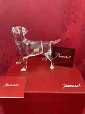 NIB NEW FLAWLESS Exquisite BACCARAT France Crystal CHIEN LABRADOR DOG Figurine
