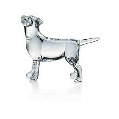 Baccarat Labrador Dog