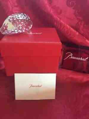 MIB FLAWLESS Exquisite BACCARAT  Art  Glass COWRY  Crystal  SNAIL SEA SHELL Figurine