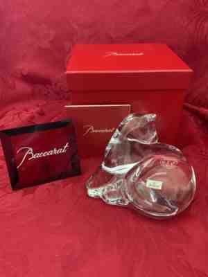 NIB FLAWLESS Exceptional BACCARAT France Art Glass GROOMING Crystal CAT Figurine
