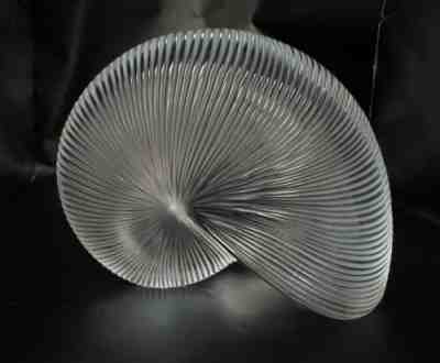 Stunning HUGE Baccarat Crystal Nautilus 5â? Sea Shell Weighs Nearly 5 Lbs WOW!