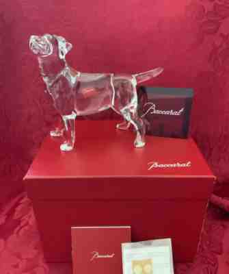 NIB FLAWLESS Exquisite BACCARAT France Glass Crystal CHIEN LABRADOR DOG Figurine
