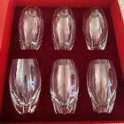 Baccarat France 6  Massena Crystal  5 1/2” Highball Glasses- In Original Box