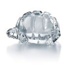 Baccarat Heritage Tortoise /Turtle Sku #2810315