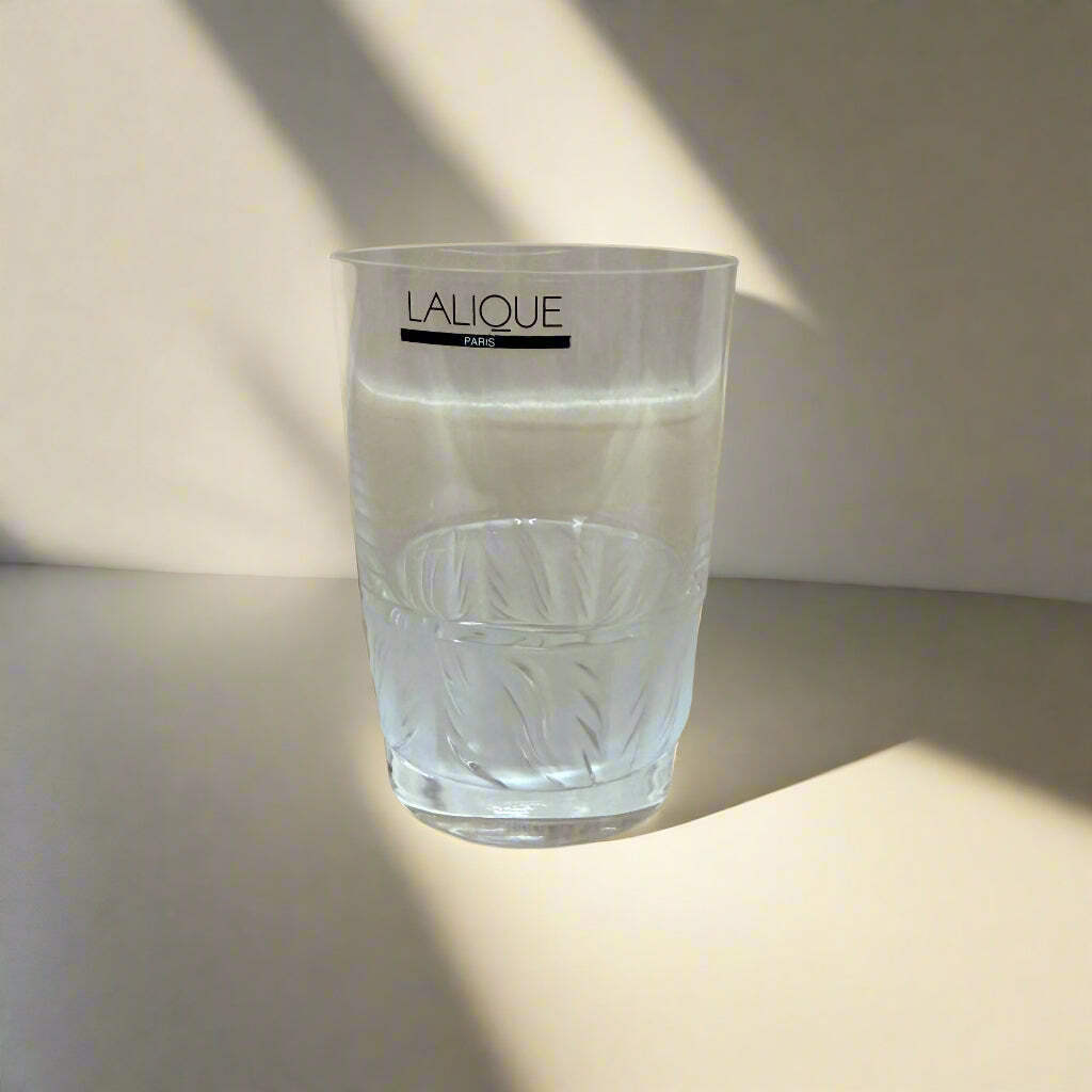 New Old Stock Lalique Crystal Flammes Flat Tumbler Set of 12