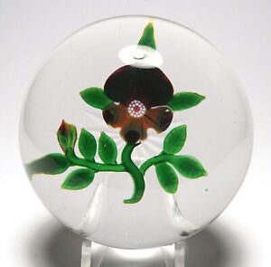 Large Antique Baccarat Dupont Period Type III Pansy Paperweight - Star Cut Base