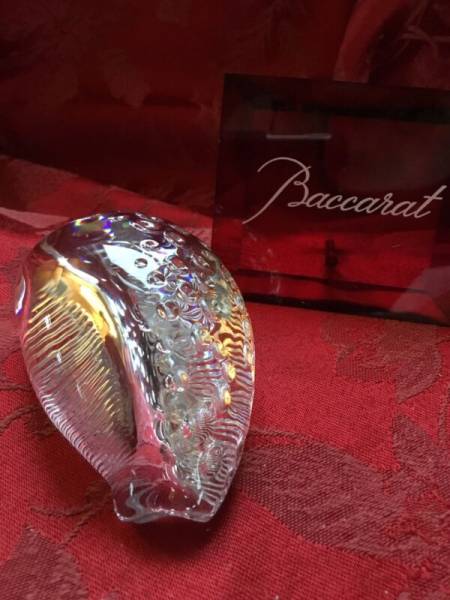 FLAWLESS Exquisite   SEA SHELL Figurine