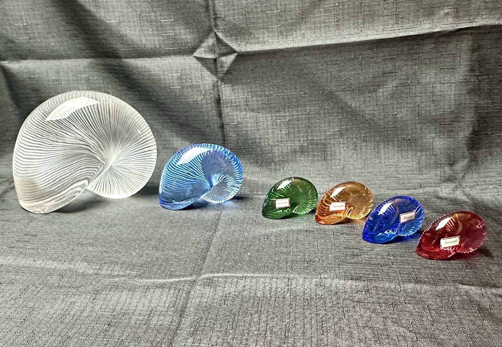 Baccarat Crystal Nautilus Shell Collection
