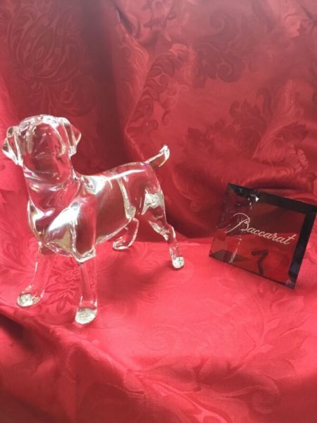 FLAWLESS Exquisite BACCARAT France Art Glass Crystal CHIEN LABRADOR DOG Figurine