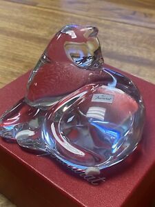 Baccarat Crystal Grooming Cat France  In Box W/tag Signed  Excellent Condition