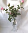 Baccarat Eurydice Flower Vase Museum Collection Crystal Glass Clear 13.75" Tall