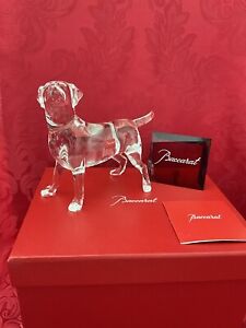NIB FLAWLESS Clear BACCARAT France Glass 7” Crystal CHIEN LABRADOR DOG Figurine