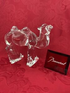 NEW FLAWLESS Exquisite BACCARAT France Art Glass TWO HUMP Crystal NATIVITY CAMEL