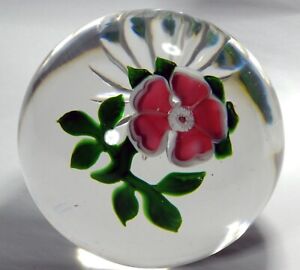 glass paperweight: Baccarat Antique c. 1850 coral pink Dog Rose - top condition