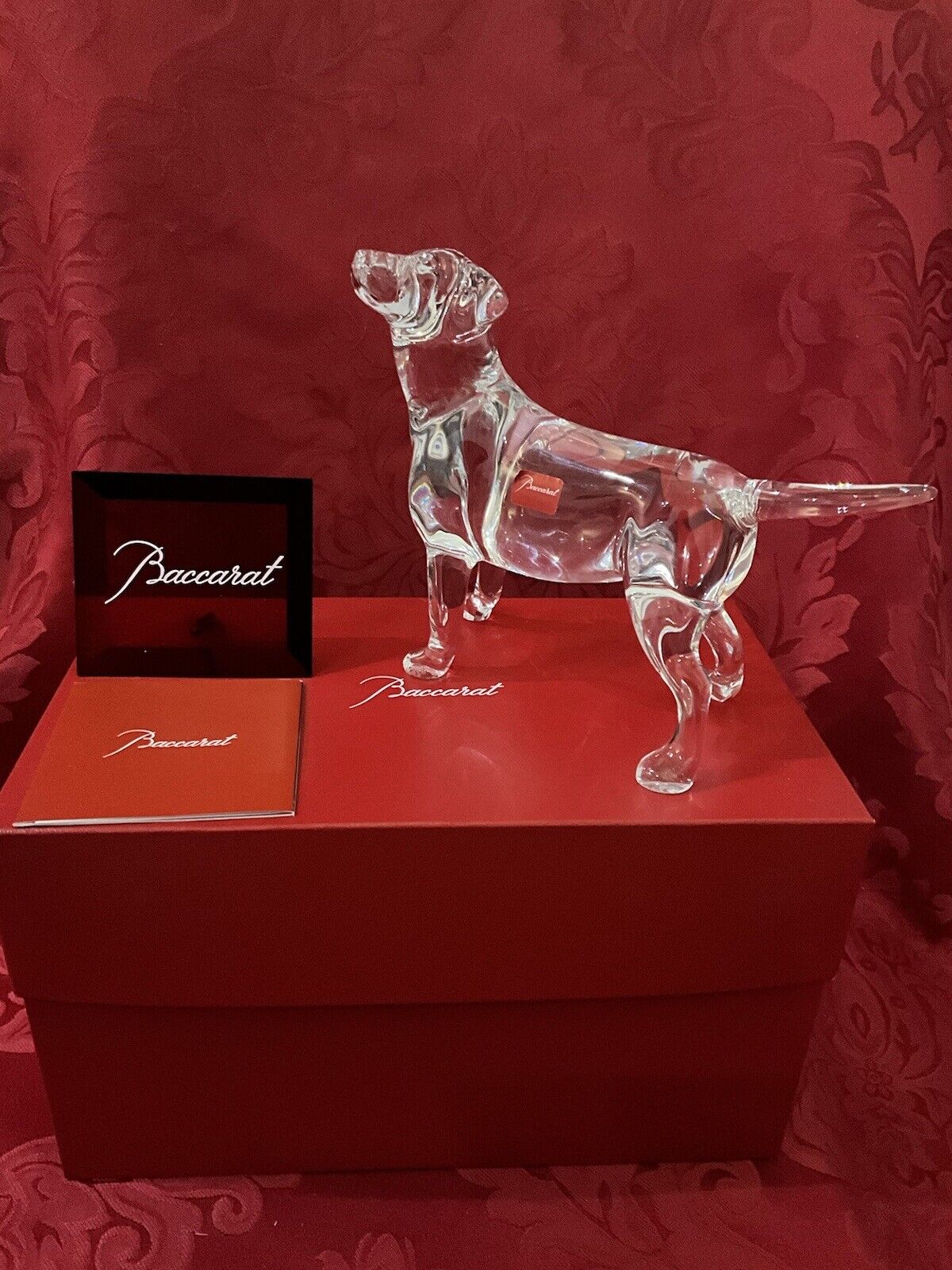 NIB FLAWLESS Exquisite BACCARAT France Glass Crystal CHIEN LABRADOR DOG Figurine
