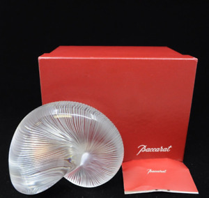Baccarat Crystal Nautilus Shell Large (6") Paperweight