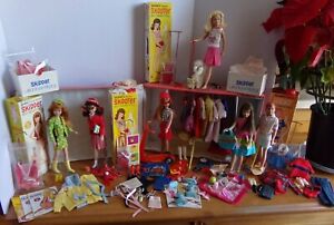 Vintage Barbie Skipper Skooter Ricky dolls  17 Outfits & Accessories  Case