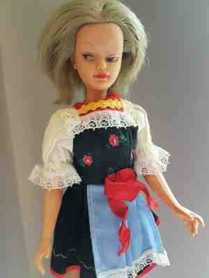 VHTF Willy Wildebras Schwabinchen Barbie Clone Doll Bild Lilli TLC