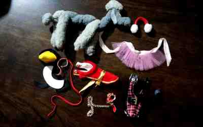 Barbie 1964 Dog N Duds #1613 Dog w/Accessories Complete Very Good - Mint