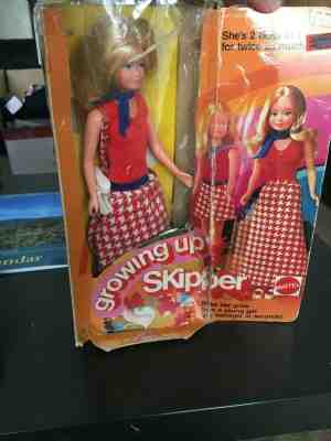 growing up skipper barbie doll