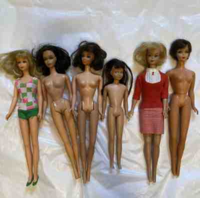 Lot Of 6 Vintage Barbie Dolls Francie Skipper Barbie + 1958-1967 Japan