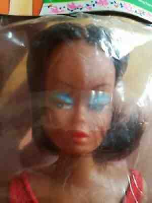 VHTF Vintage Barbie American Girl Clone Doll Poupee Mannequin Bild Lilli NRFP