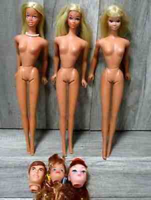 Vintage TNT 1970â??s Sun Set Malibu PJ, Skipper, Forget Me Nots Barbie Dolls,