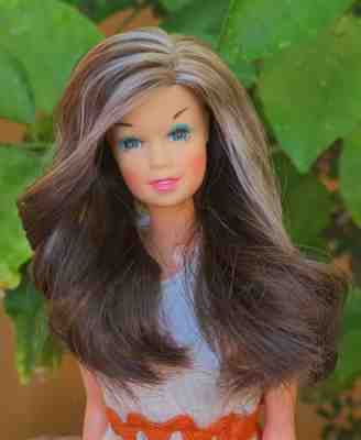 Vintage Barbie family VALERIE Doll, Frosted Hair & Outfit 1977 Mexico by CIPSA