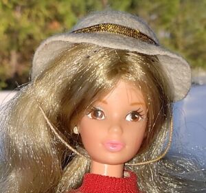 barbie lia outono inverno  estrela barbie brazil superstar steffie Extra Fashion