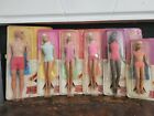 Vintage Sun Set Malibu Barbie PJ Francie Skipper Christie And Ken Lot