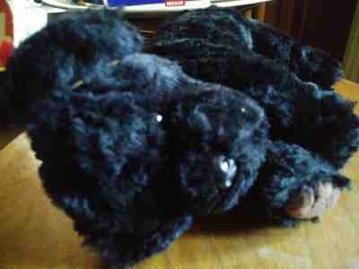 pepper ty beanie baby dog