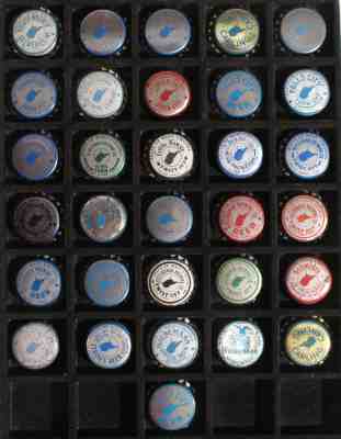 31 WEST VIRGINIA PLASTIC LINED BEER BOTTLE CAP CROWN WV WAGNER QUEEN CITY STROHS