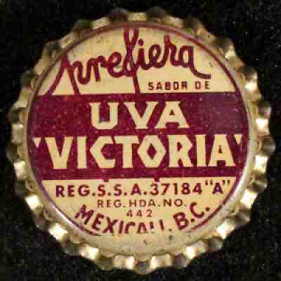 PREFIERA UVA "VICTORIA" GRAPE CORK SODA BOTTLE CAP CROWNS BAJA, MEXICALI, MEXICO