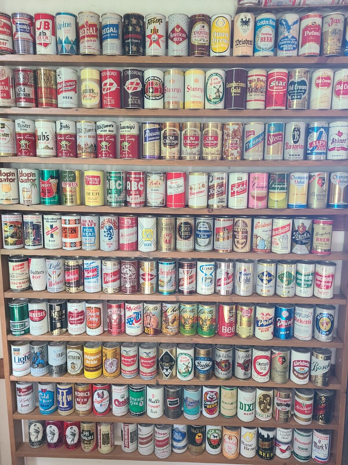 170 straight steel B/O beer can display collection Budweiser Alpine Regal Dunks