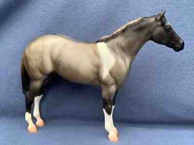 OOAK Test Run Grullo Pinto Lady Phase NAN National Champ