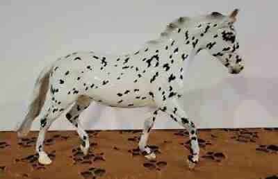 BREYERFEST 2020 CELTIC FLING SR SLAINTE SURPRISE GLOSSY LEOPARD APPALOOSA