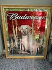 Very Rare And Vintage Budweiser Yellow Lab Hunting Dog Beer Mirror. 29x34