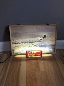 Rare 1950s Anheuser Busch Budweiser Beer Watersking Sign Price Brothers