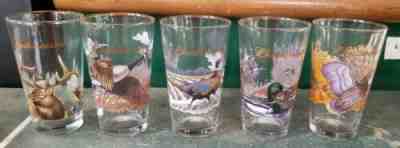 Set 5 Vintage BUDWEISER Duck Quail Geese Elk Pheasant Drinking Glasses Gold Rim